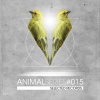 paco maroto - Cytronic