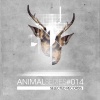 David Moleon、Primus V - StrikeBack