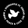 Snøw、Dismantle - Peace & Love (feat. Dread MC)