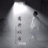 张伦硕 - 离开以后