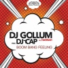 DJ Cap、Hannah、Gollum - Boom Bang Feeling (Radio Edit)