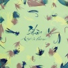 Bibio - À tout à l'heure