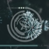 F.L.O. - Heracleum (Original Mix)