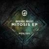 Universal Project - Mitosis