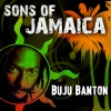 Buju Banton《Mind Behind the Wind》[MP3/LRC]