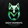 D.R.N.D.Y、Statique - Right Moments (Original Mix)(Remix)