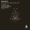 Soulkeys - Crystal Sage