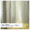 Madloch - Sagacity (Anton Dhouran Remix)