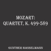Gunther Hasselmann、Wolfgang Amadeus Mozart - I. Allegretto