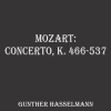 Gunther Hasselmann、Wolfgang Amadeus Mozart - I. Allegro vivace
