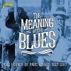 lewis black - Gravel Camp Blues