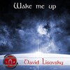 David Lisovsky - Wake Me Up (Original Mix)