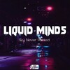 Liquid Minds - Sky Never Painted (Original Mix)(Remix)