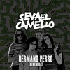 Se va el Camello - Hermano Perro