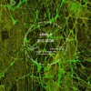 David Caetano - Level X (Original Mix)