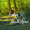 Lionel Ferro、Numa - Dejate Llevar