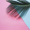 The Paradise、Madison - Context