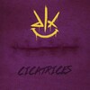 Delux - Cicatrices