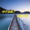 安卿尘 - 终于走散了