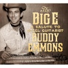 Vince Gill、Tommy White、paul franklin - Country Boy (feat. Paul Franklin & Tommy White)