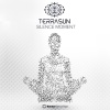 Terrasun《Silence Moment (Original Mix)》[MP3/LRC]