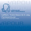 Yves Eaux、C_Jay、LeRon - FantoomLust (Original Mix)