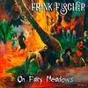 Frank Fischer - Bold as Love