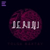 Tolga Maktay《Deruni》[MP3/LRC]