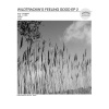 Wave Crushers - Lighthouse