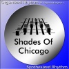 Shades Of Chicago - Organized Rhythm (Original Mix)