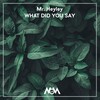 Mr. Heyley - What Did You Say (Original Mix)