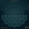 Aurelius、Omar - Paid (Afro Tech Dub)