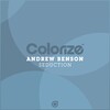 Andrew Benson - Seduction (Original Mix)
