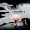 Nature Sound Collection - Peaceful Song