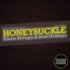 Hazem Beltagui、Belal Heddaya《Honeysuckle》[MP3/LRC]