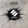 Dave Leck - Rapture