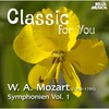 Orchestra Filarmonica Italiana - I. Allegro - Molto