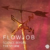 Flowjob - Secret Matters