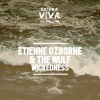 The Wulf、etienne ozborne - Wickedness