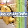 Floreano、Hillmann、Neufang - Solemn (Definition Remix)