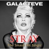 Galacteve - Stray