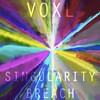 Voxl - Singularity Breach