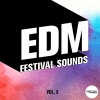 heron - Mvnivc (Radio Edit)