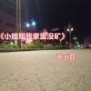张小磊 - 小姐姐我家里没矿