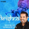 Shankar Mahadevan - Hare Krishna
