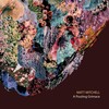 Matt Mitchell - bulb terminus