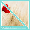 Meditation Music Club、Meditation and Stress Relief Therapy、Sleep Meditation Dream Catcher - Amongst the Theta Waves