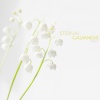 Slow World - Undiscovered World