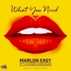 Ajrenalin、Lia Caribe、Marlon Easy - What You Need (Explicit)
