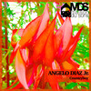 Angelo Diaz Jr. - Countryboy